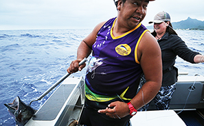 Marlin Queen Fishing Charters : Rarotonga : Business News Photos : Richard Moore : Photographer